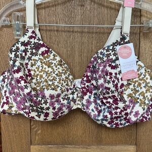 Cacique Purple and Gold Underwire Bra with Molded Cups 40D